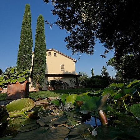 Agriturismo Le Vallette Бибона Екстериор снимка