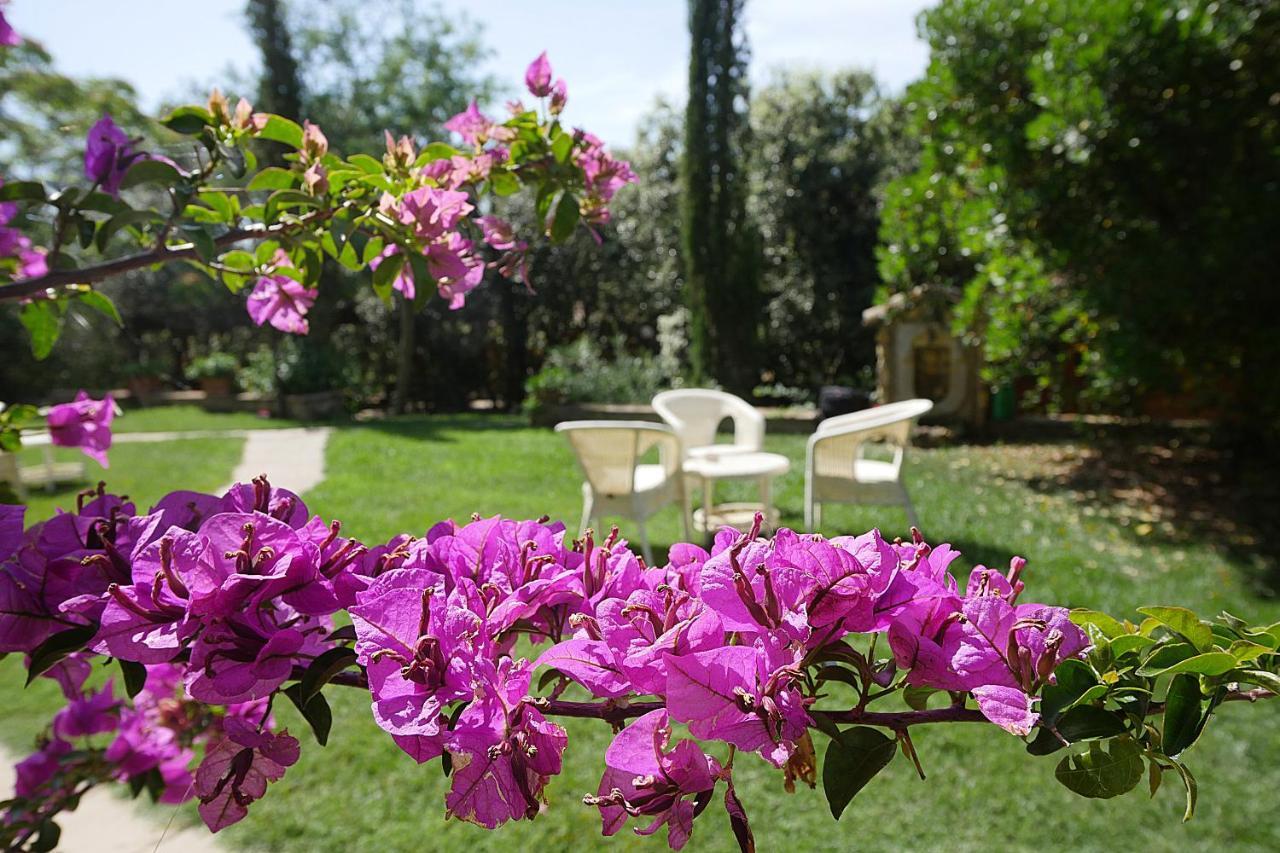 Agriturismo Le Vallette Бибона Екстериор снимка