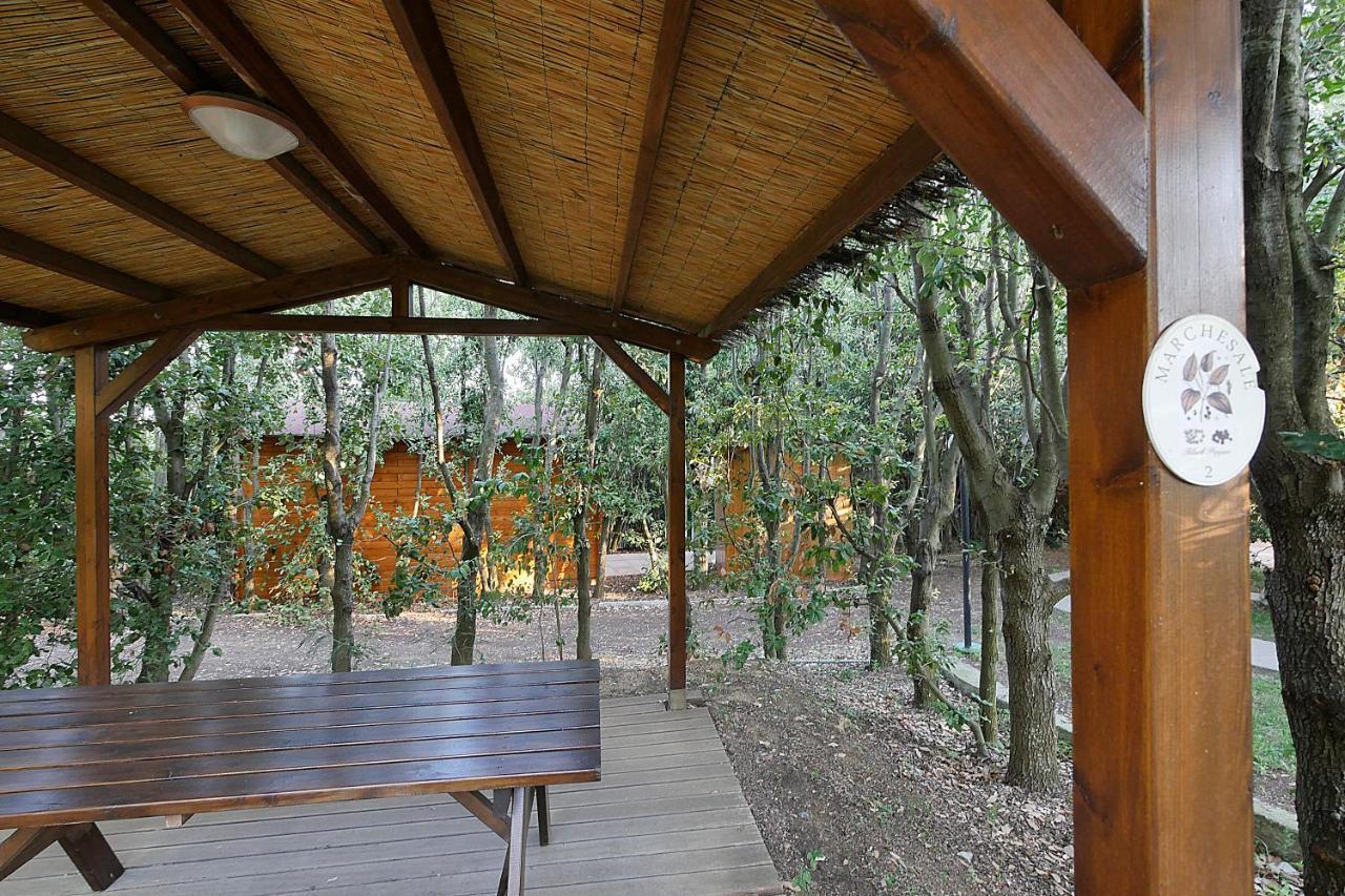 Agriturismo Le Vallette Бибона Екстериор снимка